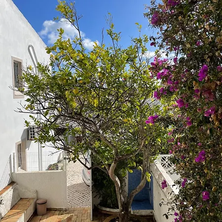 בית נופש Beautiful Sea View Senhora da Luz